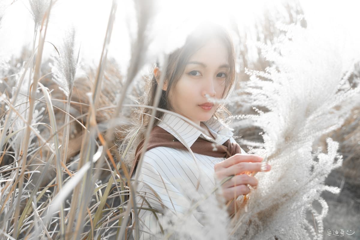 台中中央公園 - 芒草